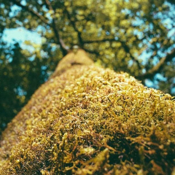 Ultimate Play Bundle